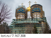 Успенский собор Троице-Сергиевой Лавры в лесах (2013 год). Стоковое фото, фотограф needadventures / Фотобанк Лори