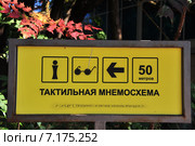 Тактильные знаки.Таблички шрифтом Брайля (2015 год). Стоковое фото, фотограф Наталья Краснобаева / Фотобанк Лори
