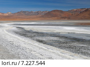 bolivia - laguna colorada (red lagoon), shallow salt lake in the southwest of the altiplano of bolivia, within eduardo avaroa andean fauna national reserve.Bolivia, the Atacama Desert, Hot Springs. Стоковое фото, агентство BE&W Photo / Фотобанк Лори