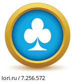 Gold card icon. Стоковая иллюстрация, иллюстратор Иван Рябоконь / Фотобанк Лори
