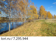 Осень на реке Уче. Стоковое фото, фотограф Елена Коромыслова / Фотобанк Лори
