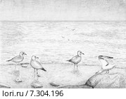 Чайки. Пейзаж.  Рисунок графитовым карандашом. Стоковая иллюстрация, иллюстратор Olga Nikolaeva / Фотобанк Лори