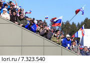 Фотолюбители на спортивной трибуне (2015 год). Редакционное фото, фотограф Анатолий Матвейчук / Фотобанк Лори