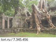Cambodia, Siem Reap, Angkor, Preah Khan, Hindu Buddhist temple. Стоковое фото, агентство BE&W Photo / Фотобанк Лори