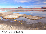 Bolivia, Laguna Colorada, Red Lagoon, Shallow Salt Lake in the Southwest of the Altiplano of Bolivia, within Eduardo Avaroa Andean Fauna National Reserve. Стоковое фото, агентство BE&W Photo / Фотобанк Лори