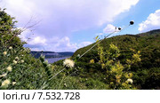 Самарская Лука.Крестовая поляна. (2015 год). Редакционное видео, видеограф Михаил Синякин / Фотобанк Лори