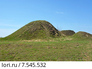 Курган -место, где, согласно легенде, похоронен Вещий Олег (2014 год). Стоковое фото, фотограф Алексей Кокоулин / Фотобанк Лори