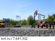 Нефтяной станок - качалка. Кустовая площадка на месторождении в западной сибири (2015 год). Редакционное фото, фотограф Вероника Павлова / Фотобанк Лори