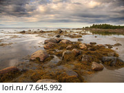 Белое море. Стоковое фото, фотограф Александр Коротков / Фотобанк Лори