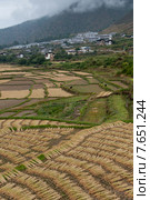 Rice paddy with a town in the background, Paro Valley, Paro District, Bhutan (2010 год). Стоковое фото, фотограф Keith Levit / Ingram Publishing / Фотобанк Лори