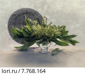 Про ландыши. Стоковое фото, фотограф Ирина Приходько / Фотобанк Лори