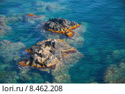 Прибрежные скалы в Средиземном море, Корсика (2015 год). Стоковое фото, фотограф EugeneSergeev / Фотобанк Лори