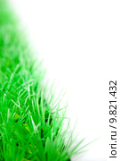 green spring grass meadow lawn. Стоковое фото, фотограф Heiko Barth / PantherMedia / Фотобанк Лори