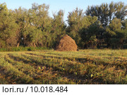 Один стожок сена. Стоковое фото, фотограф Анатолий Матвейчук / Фотобанк Лори
