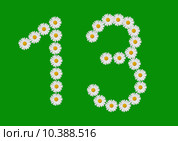 number thirteen made in daisy flower. Стоковое фото, фотограф daniel guffanti / PantherMedia / Фотобанк Лори