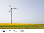 Windmill over horizon. Стоковое фото, фотограф Artur Wojteczek / PantherMedia / Фотобанк Лори