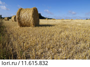 straw bales on a stubble field. Стоковое фото, фотограф pascal coupry / PantherMedia / Фотобанк Лори