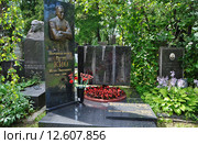 Новодевичье кладбище. Могила народного артиста России Кио Игоря Эмильевича (2015 год). Редакционное фото, фотограф Вера Смолянинова / Фотобанк Лори
