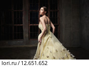 Cinderella. Стоковое фото, фотограф Raev Denis / Фотобанк Лори