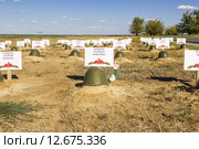 Солдатская каска ВОВ на могиле. Кладбище Россошка, Волгоград (2015 год). Редакционное фото, фотограф Владимир Арсентьев / Фотобанк Лори