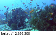 Лебедка на затонувшем судне SS Thistlegorm (2014 год). Редакционное видео, видеограф KEN VOSAR / Фотобанк Лори