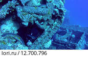 Танк на затонувшем судне SS Thistlegorm (2014 год). Редакционное видео, видеограф KEN VOSAR / Фотобанк Лори