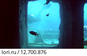 Трюм на затонувшем судне SS Thistlegorm (2014 год). Редакционное видео, видеограф KEN VOSAR / Фотобанк Лори