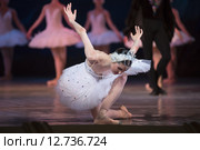 Прима-балерина - белый лебедь. Стоковое фото, фотограф Andriy Bezuglov / Фотобанк Лори
