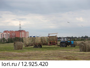 Трактор убирает летом сено на у подмосковного города Шатура (2015 год). Редакционное фото, фотограф Дмитрий Неумоин / Фотобанк Лори