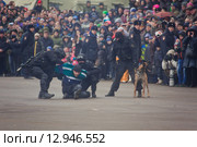 Interpolitex-2015. Демонстрационный показ бойцов спецназа ФСКН. Редакционное фото, фотограф Julia Shepeleva / Фотобанк Лори
