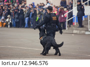 Interpolitex-2015. Демонстрационный показ бойцов спецназа ФСКН. Редакционное фото, фотограф Julia Shepeleva / Фотобанк Лори