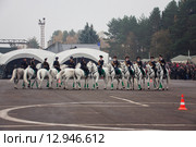 Interpolitex-2015. Конная полиция. Редакционное фото, фотограф Julia Shepeleva / Фотобанк Лори