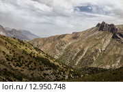 Холмы и горные перевалы, Фанские горы, Таджикистан. Стоковое фото, фотограф Александр Усик / Фотобанк Лори