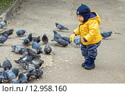 Мальчик и стая голубей (2013 год). Редакционное фото, фотограф Наталья Степченкова / Фотобанк Лори