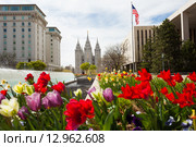 Клумбы с цветами на площади в Солт-Лейк-Сити, США (2015 год). Стоковое фото, фотограф Сергей Новиков / Фотобанк Лори
