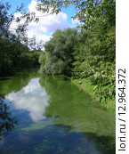 Серебряно-Виноградный пруд в Москве летом (2008 год). Стоковое фото, фотограф lana1501 / Фотобанк Лори