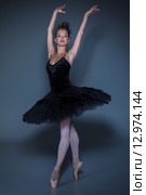 Portrait of the ballerina in ballet tatu on blue background. Стоковое фото, фотограф Volodymyr Melnyk / PantherMedia / Фотобанк Лори