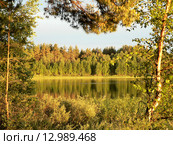 Картина в рамке природы. Стоковое фото, фотограф Оксана Синникова / Фотобанк Лори