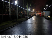 Дорожка освещенная фонарями в усадьбе Остафьево ночью (2015 год). Редакционное фото, фотограф Яна Королёва / Фотобанк Лори