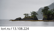 Trees on an island, Skeena-Queen Charlotte Regional District, Haida Gwaii, Graham Island, British Columbia, Canada. Стоковое фото, фотограф Keith Levit / Ingram Publishing / Фотобанк Лори