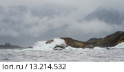 Waves breaking on the coast, Skeena-Queen Charlotte Regional District, Haida Gwaii, Graham Island, British Columbia, Canada. Стоковое фото, фотограф Keith Levit / Ingram Publishing / Фотобанк Лори