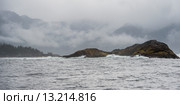 Island in the Pacific Ocean, Skeena-Queen Charlotte Regional District, Haida Gwaii, Graham Island, British Columbia, Canada. Стоковое фото, фотограф Keith Levit / Ingram Publishing / Фотобанк Лори