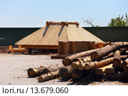 Крыша крыта гонтом. Ялуторовский острог (2015 год). Стоковое фото, фотограф Анатолий Матвейчук / Фотобанк Лори