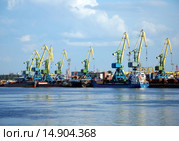 Морской порт на Канонерском острове, Санкт-Петербург. Портовые краны (2013 год). Стоковое фото, фотограф Светлана Колобова / Фотобанк Лори