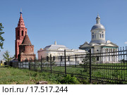 Епифань. Никольский собор. Тульская область, Кимовский район (2015 год). Стоковое фото, фотограф Илюхина Наталья / Фотобанк Лори