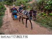 Chinese farmers returning from field work in the horse cart. Китайский фермер с женой едут по грунтовой горной дороге в двухколесной повозке запряженной лошадью, Гуйчжоу, Китай. (2010 год). Редакционное фото, фотограф Владимир Григорьев / Фотобанк Лори