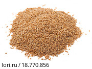 Полба, или Спельта  (Triticum spelta). На белом фоне. Стоковое фото, фотограф Алёшина Оксана / Фотобанк Лори
