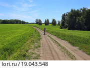 На велосипеде меж зеленых полей (2015 год). Редакционное фото, фотограф Анатолий Матвейчук / Фотобанк Лори