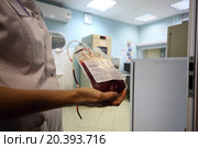 erythrocyte slurry layer without buffy coat in medic hand. Стоковое фото, фотограф Losevsky Pavel / Фотобанк Лори