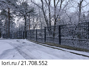 Ажурная ограда парка Курзал зимой, Кисловодск (2016 год). Стоковое фото, фотограф Алексей Гусев / Фотобанк Лори